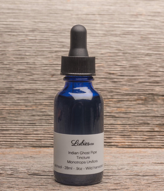 Indian Ghost Pipe Monotrope Uniflore Free Shipping