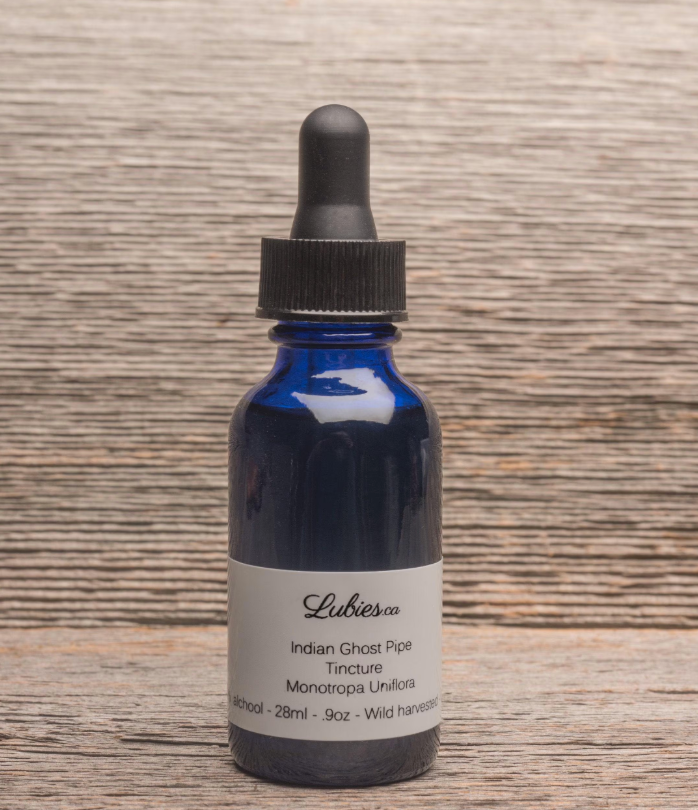 Indian Ghost Pipe Monotrope Uniflore Free Shipping